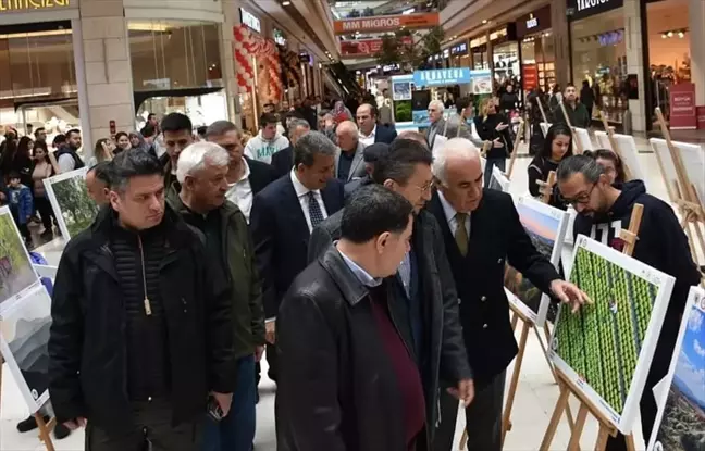 Nallıhan Kuş Cenneti'nde Foto Safari Yarışması Ödül Töreni Düzenlendi