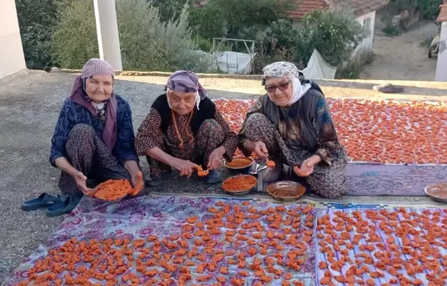 90 Yaşındaki Komşuların Tarhana Geleneği Uzun Ömür Sırrı