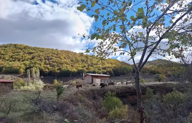 Dipsiz Göl ve Şelalesi Sonbaharda Renk Cümbüşü Sunuyor