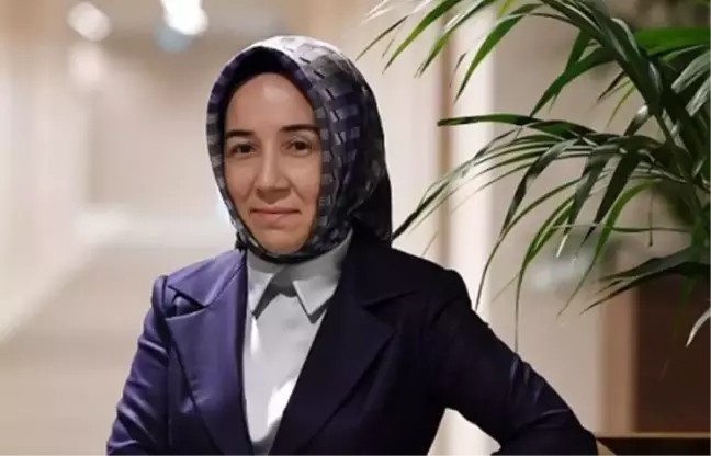 Karahan: MB Gerekli Gördüğünde Adım Atar