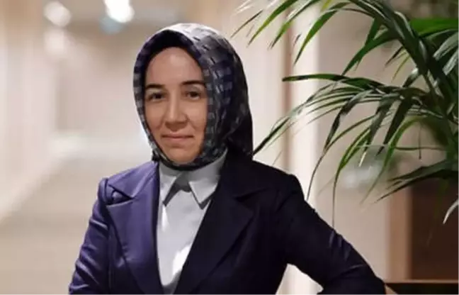 Karahan: ABD'ye AB ile Uyum İçinde Yanıt Vereceğiz