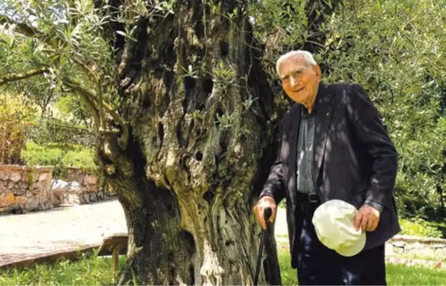 İstanbul'un Ortasında Bir Botanik Bahçesi