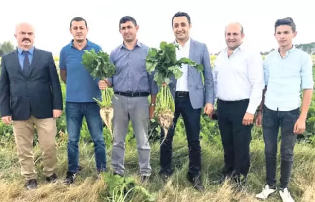 Tarım Bakanlığı, İgsaş'ın Projesini Millileştirecek