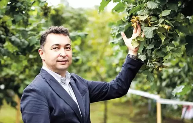 Ferrero: Fındıkta verimli üretim için potansiyel var