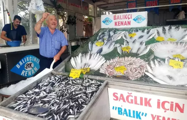 Balıkçı Kenan Balcı: