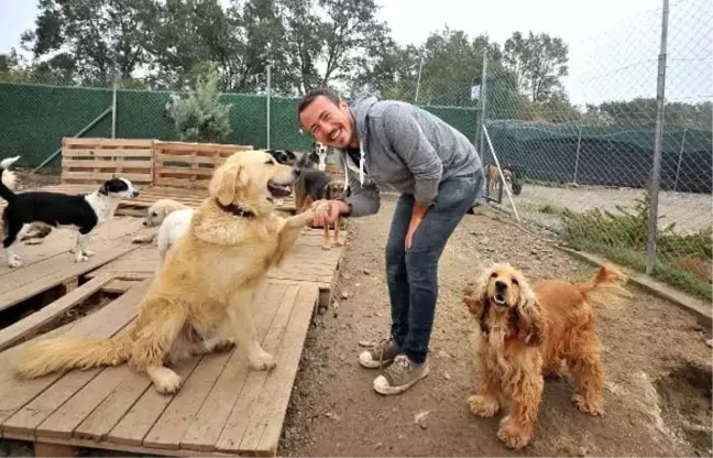 Hayatını terk edilmiş köpeklere adadı