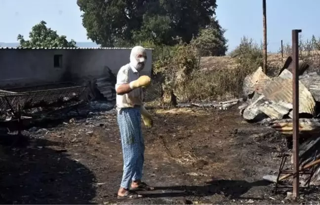 Çanakkale'deki yangında hayvanlarını kurtarmak isteyen adam ölümden döndü