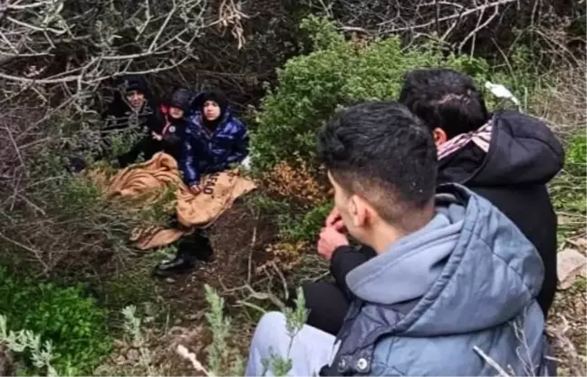 İzmir'de yasa dışı yollarla yurt dışına çıkmak isteyen 71 düzensiz göçmen yakalandı