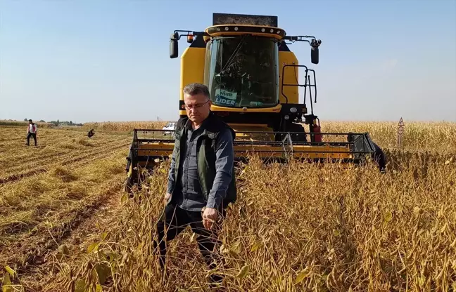 Suruç'ta Soya Fasulyesi Hasadı Gerçekleşti