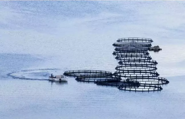 Kapıkaya Fest 2019 fotoğraf yarışması sonuçlandı