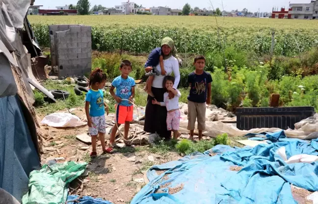 Çadırda yaşayan tarım işçisi aileye kaçak su kullandıkları gerekçesiyle 7 bin lira borç geldi