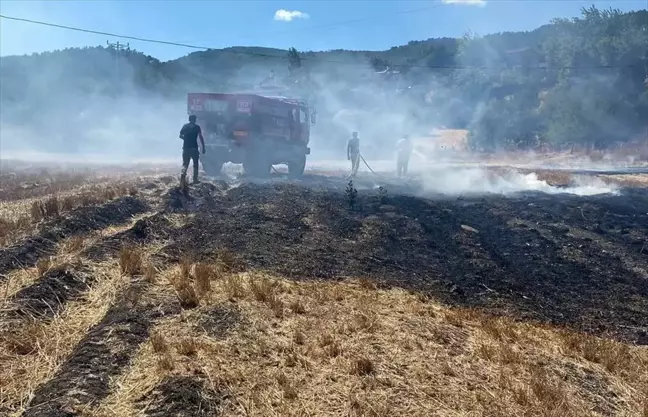 Çanakkale'de çıkan yangın ormana sıçramadan söndürüldü