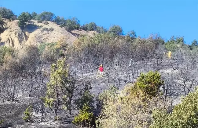 Amasya'da çıkan orman yangınında 2 hektar alan zarar gördü