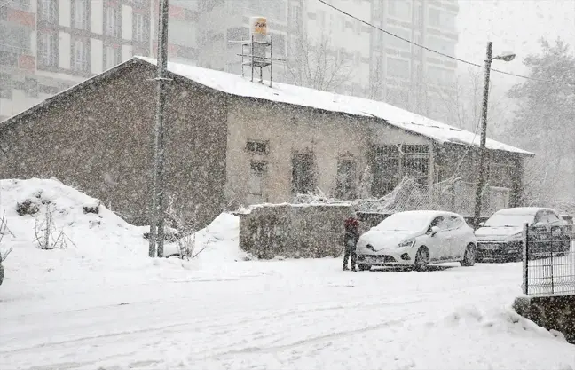 Bitlis'te Kar Yağışı Beklenmedik Zorluklar Yarattı