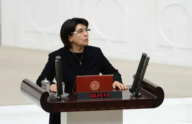 Vekilliğinin Düşmesine İlişkin Karar Resmi Gazete'de