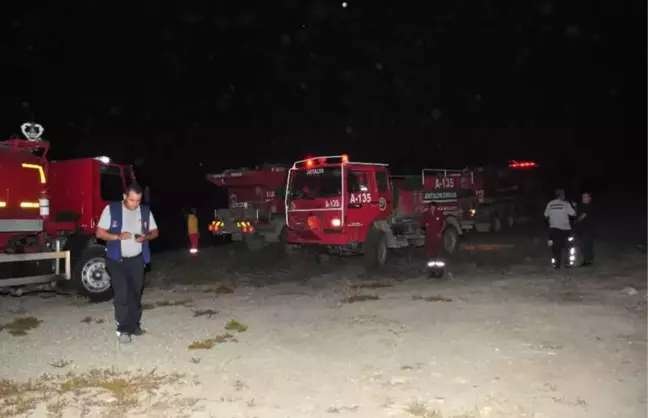 Antalya'da Defineciler Ormanı Yaktı