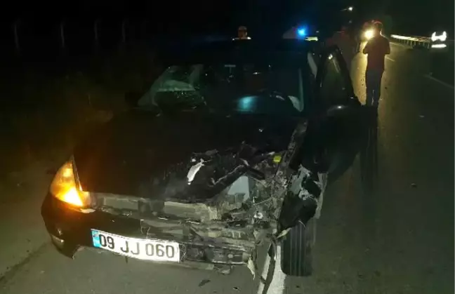 Domuza Çarpan Otomobildeki 2 Kişi Yaralandı
