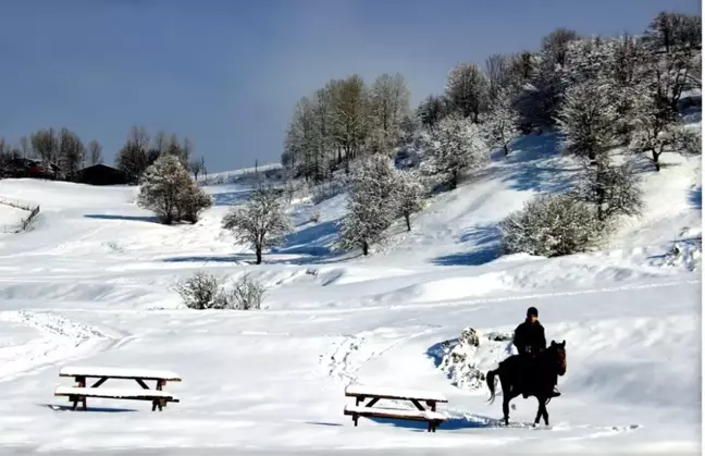 Sakin şehir Şavşat'ta çekilen fotoğraflar hayran bırakıyor