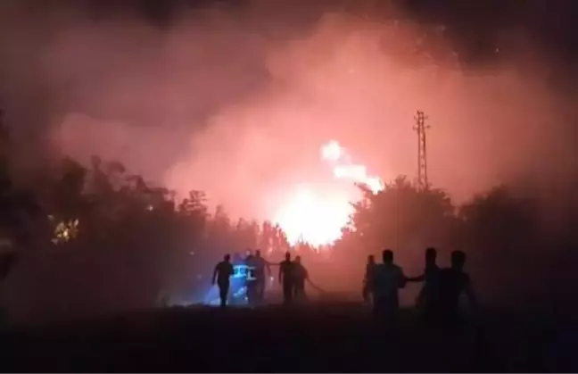 Son dakika haber... Hatay'da Asi Nehri kıyısında otluk yangını