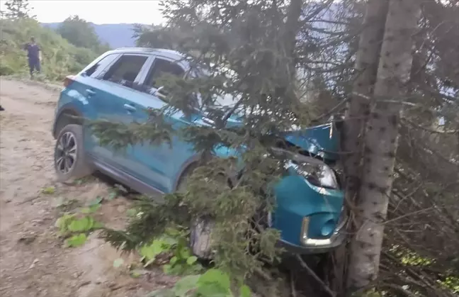 Trabzon'da otomobil ağaçlara çarptı: 6 kişi yaralandı
