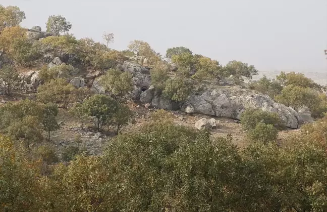 Mardin'de Roma dönemine ait villa kalıntısında Anadolu leoparının çene kemikleri bulundu