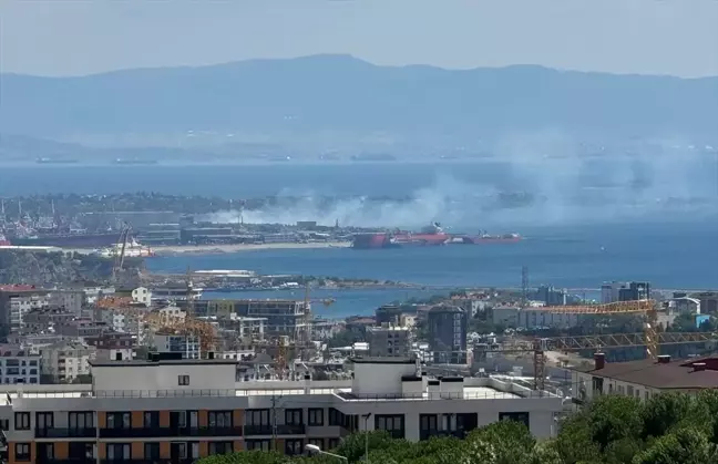 Tuzla'da ağaçlık alanda çıkan yangına itfaiye müdahale ediyor