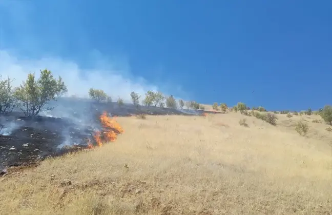 Elazığ'da çıkan yangın kontrol altına alındı