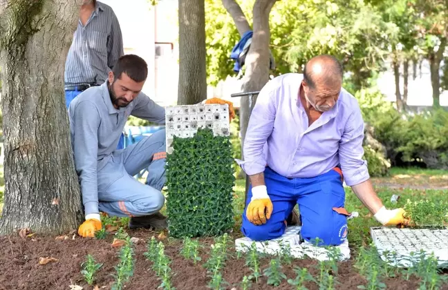 Muratpaşa'dan kısa kısa