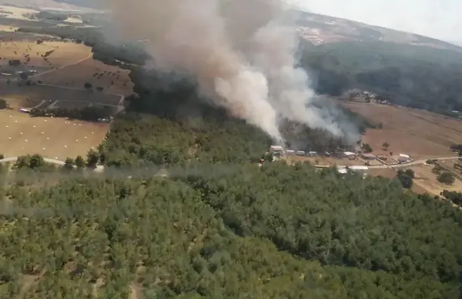 Bornova'da çıkan orman yangını kontrol altına alındı