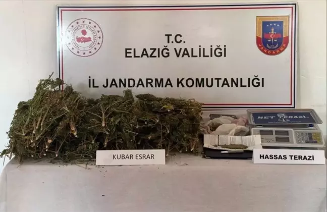 Elazığ'da Jandarma Operasyonu: 3 Kilo Esrar Ele Geçirildi