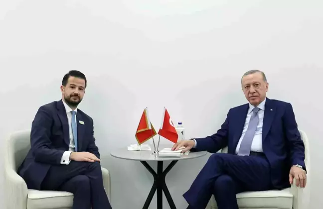 Cumhurbaşkanı Erdoğan, Karadağ Cumhurbaşkanı Milatoviç ile görüştü