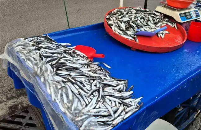 Tekirdağ'da Seyyar Balıkçıların Tezgahları Ziyaretçilerini Bekliyor