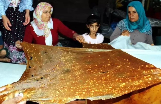 Adıyaman'da Bağbozumu Zamanı