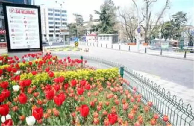 Orta ve Doğu Karadeniz'de sokaklar sakin