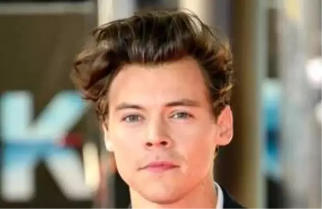Harry Styles kimdir? Harry Styles kaç yaşında, nereli?