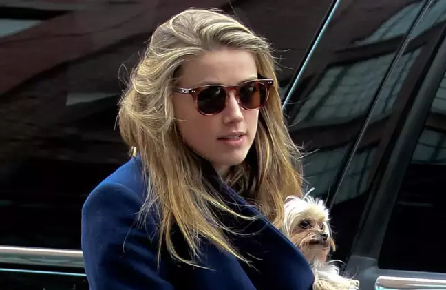 Amber Heard'ün başı bu kez de Avustralya hukukuyla dertte!