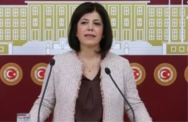 Meral Danış Beştaş kimdir? Meral Danış Beştaş kaç yaşında, nereli? Meral Danış Beştaş hayatı ve biyografisi!
