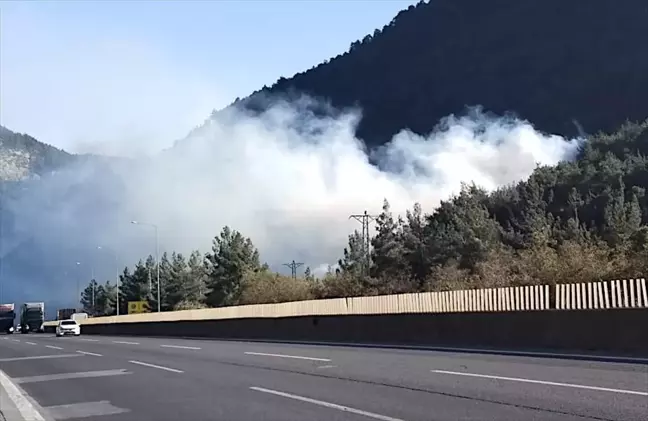 Tarsus'ta Otoyol Kenarındaki Ormanlık Alanda Yangın