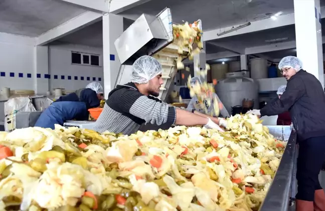 Koronavirüs sonrası Gedelek turşusuna talep arttı