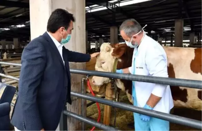 Osmangazi kurban pazarında ekonomi coştu
