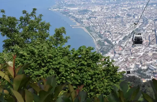 Doğasıyla cezbeden Boztepe'de turist hareketliliği yaşanıyor (2)