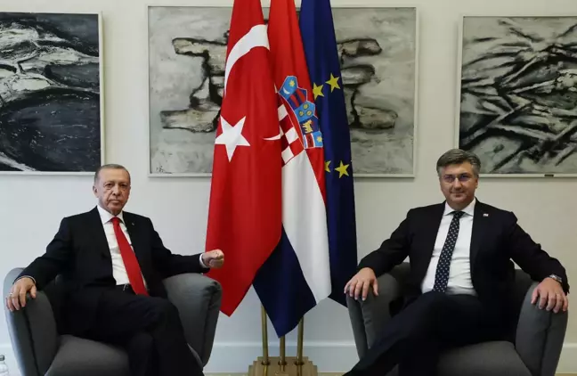 Cumhurbaşkanı Erdoğan, Hırvatistan Başbakanı Plenkovic'i kabul etti