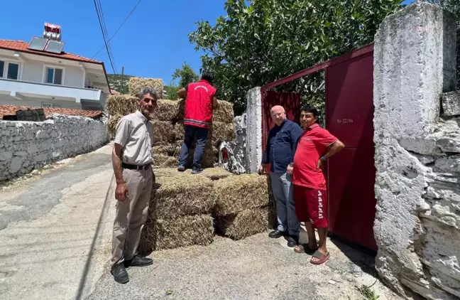 Menteşe Belediyesi Üreticilere Saman Balyası Dağıtıyor