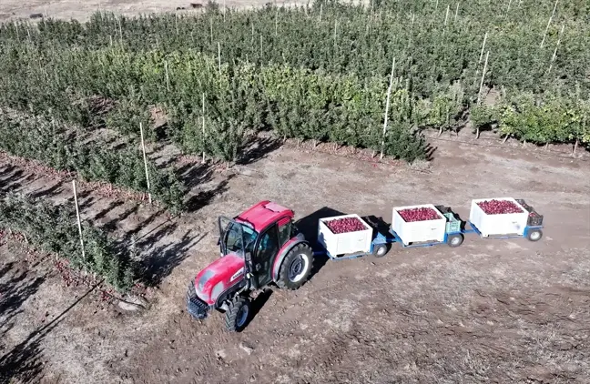 Yahyalı'da Kadınlar Elma Üretiminde Başrol Oynuyor