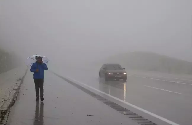 Van'da Sis ve Sağanak Trafiği Olumsuz Etkiledi