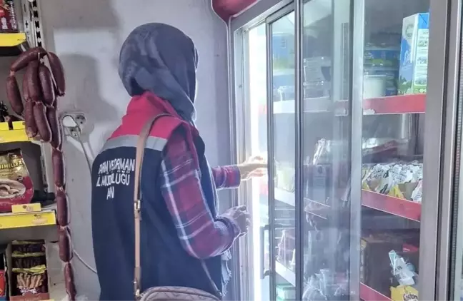 Söke'de Gıda Güvenliği Denetimleri Devam Ediyor
