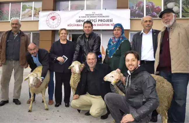 Genç Çiftçiler Hibe Küçükbaş Hayvanlarını Kavuştu