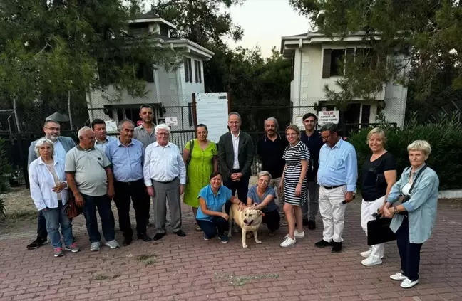 Osmangazi Kent Konseyi, Başıboş Hayvanların Sahiplenilmesi İçin Çağrıda Bulundu