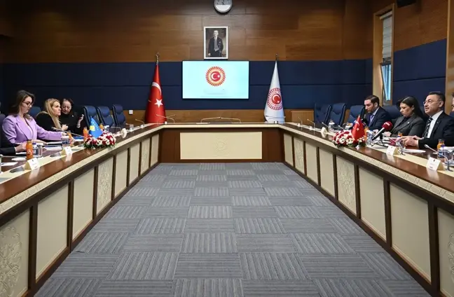 TBMM Dışişleri Komisyonu Başkanı Fuat Oktay, Kosova Meclisi Dışişleri Komisyonu Başkanı Arbereshe Kryeziu Hyseni ve heyetiyle görüştü
