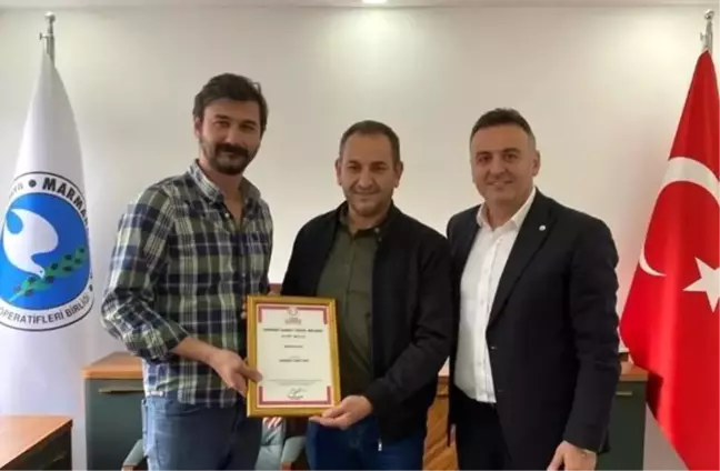 Bandırma Ticaret Odası, Edincik Zeytini'ne Coğrafi İşaret Tescili Aldı